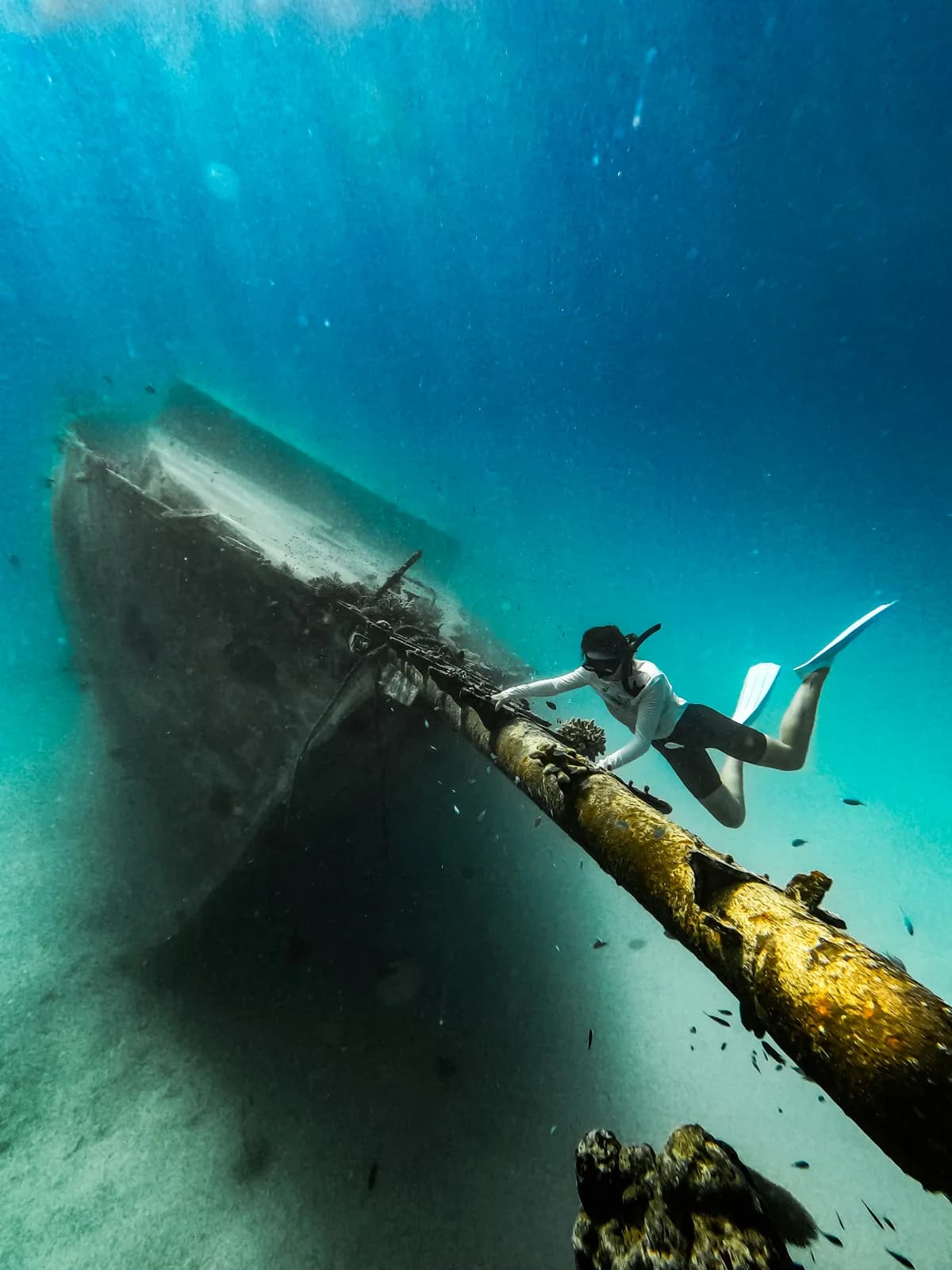 A diver exploring a wreck on the sea floor