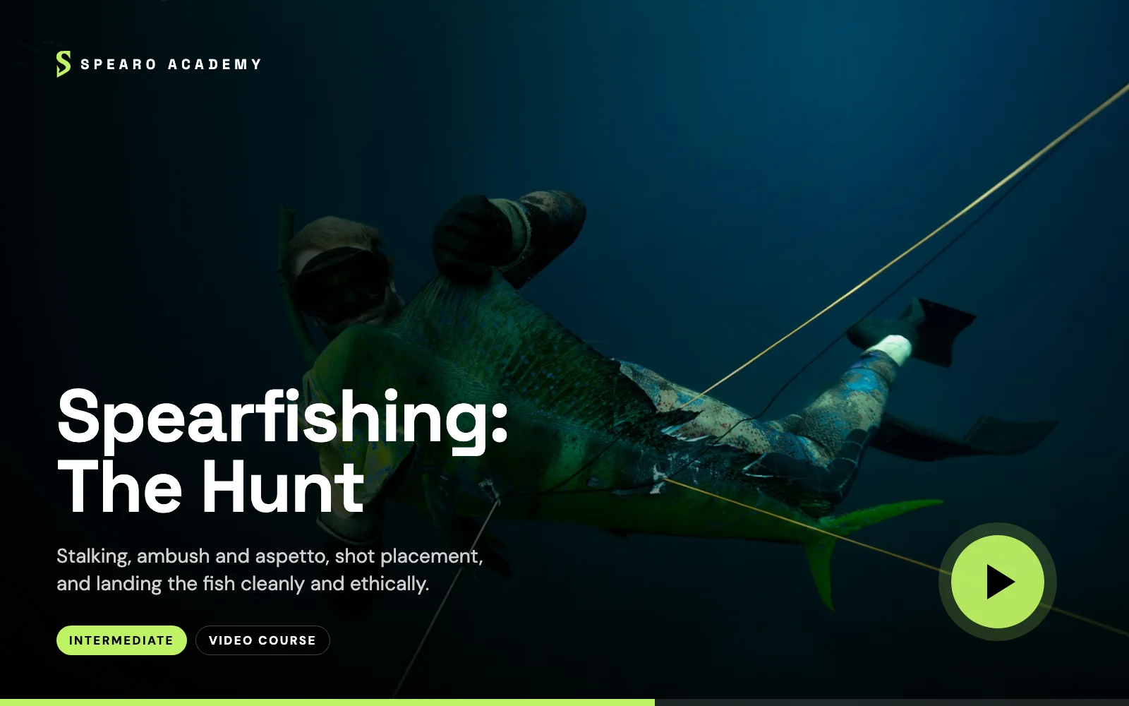 Spearfishing: The Hunt (mockup)