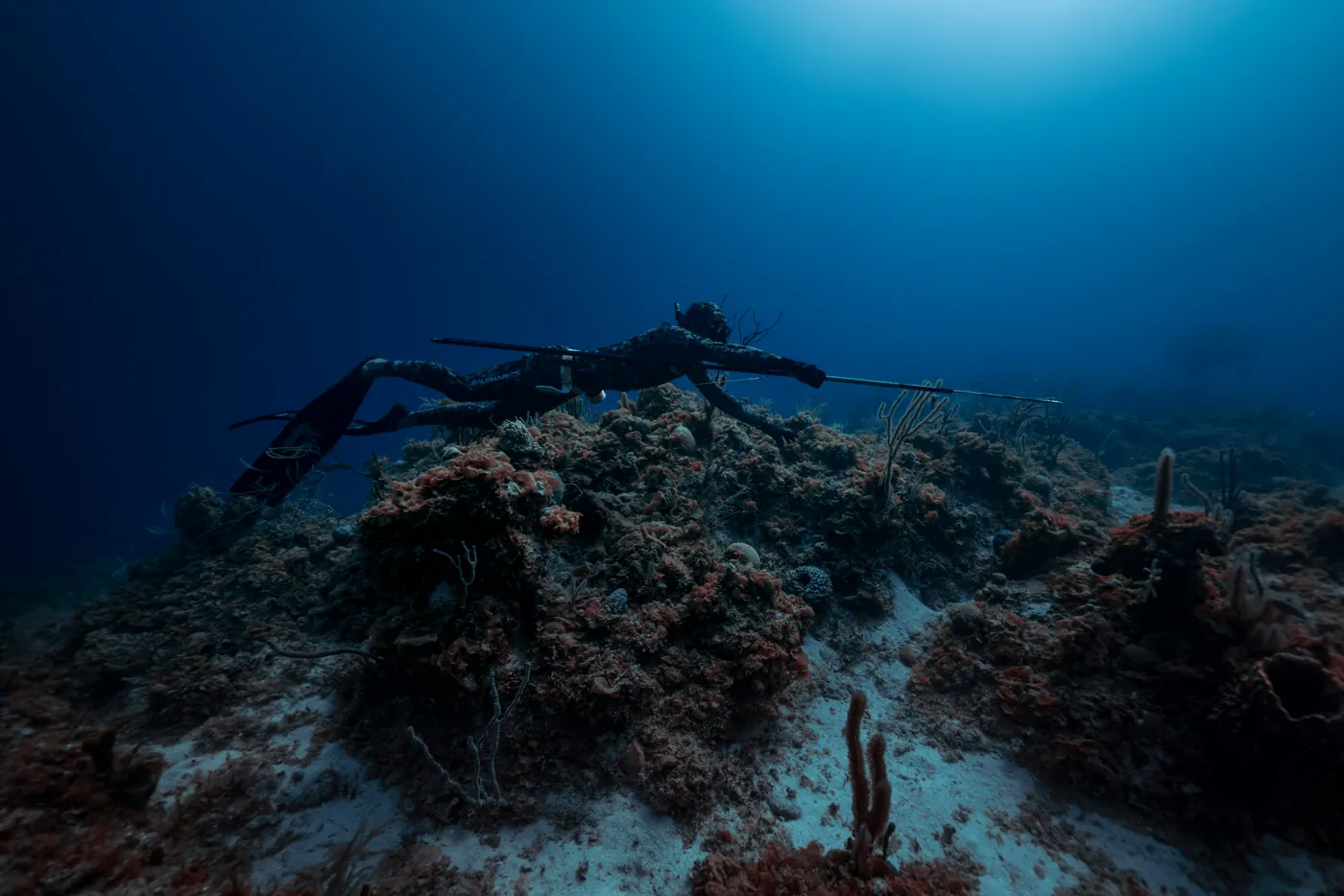 A spearfisher gliding low over a dark reef